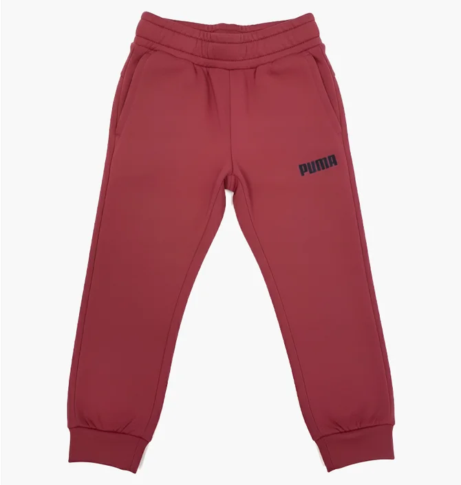 Штаны детские Puma Essentials Youth Sweatpants Red 847626-90