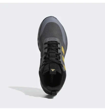 Кроссовки мужские Adidas Ownthegame Shoes Grey Gw5483