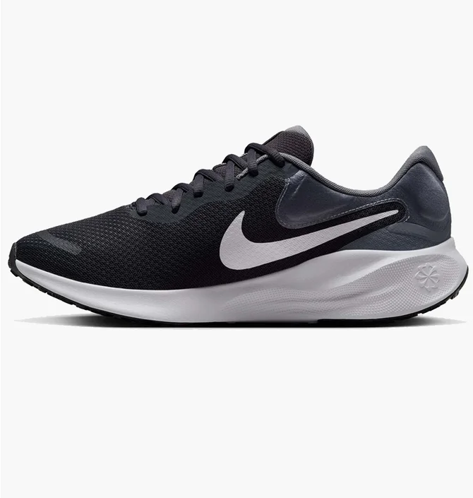 Кроссовки мужские Nike Revolution 7 Black FB2207-007