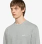 Світшот чоловічий Carhartt WIP Script Embroidery Grey I034496.00DXX