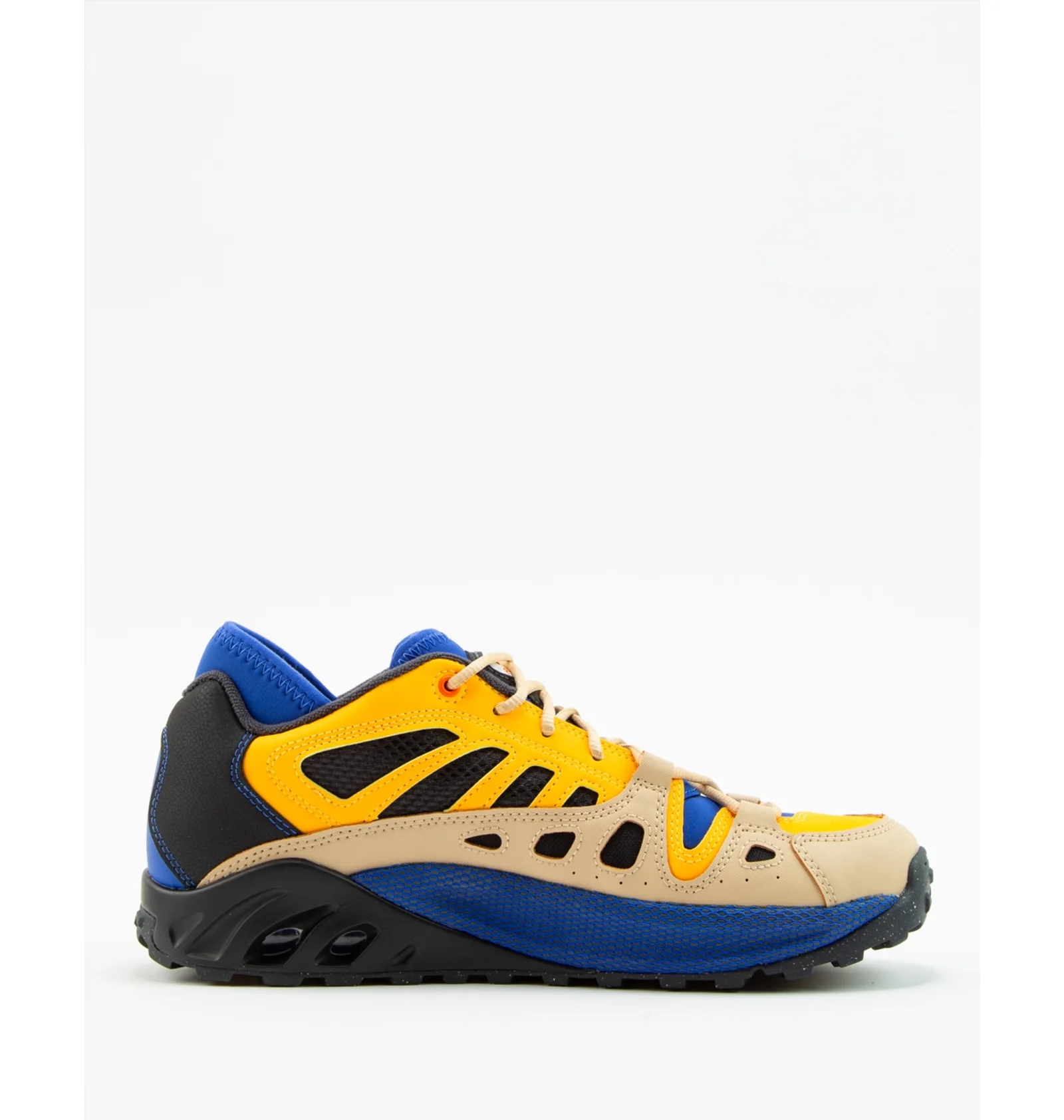 ᐉ Кросівки чоловічі Nike Acg Air Exploraid Hyper Royal Multi