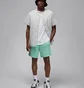 Шорты мужские Air Jordan Essentials Shorts Green FN4647-349