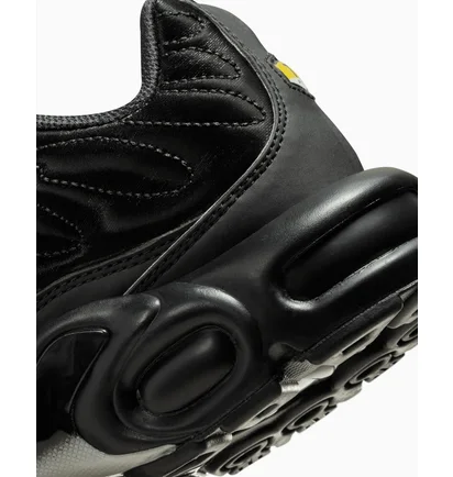 Кросівки жіночі Nike Air Max Plus Black Anthracite Black FV1169-001