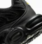 Кросівки жіночі Nike Air Max Plus Black Anthracite Black FV1169-001