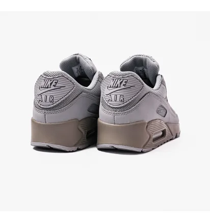 Кросівки чоловічі Nike Air Max 90 Grey CN8490-012
