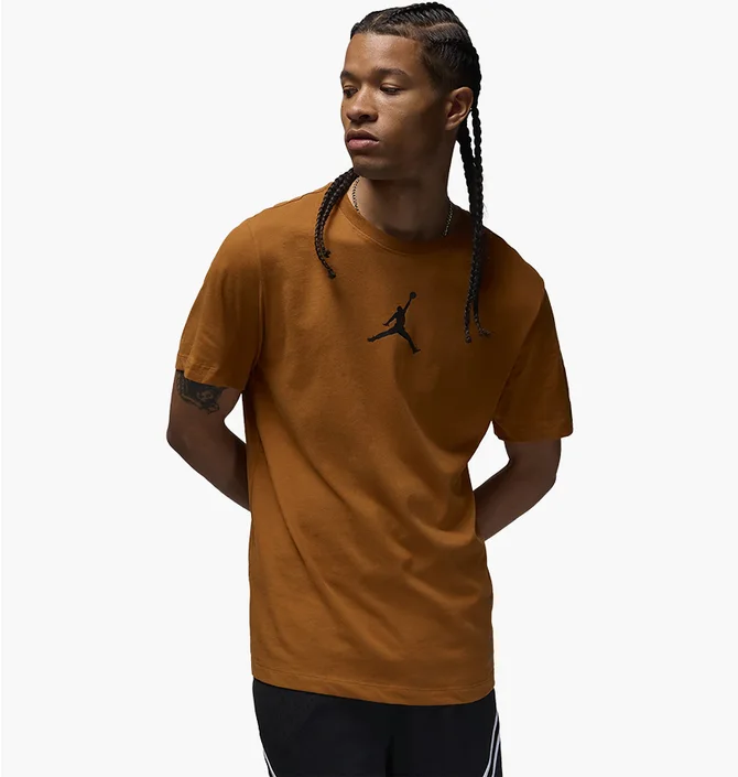 Футболка мужская Air Jordan Air Jumpss Crew Brown CW5190-228