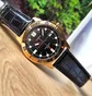 Часы мужские Casio Standard Analogue MTP-VD01GL-1E