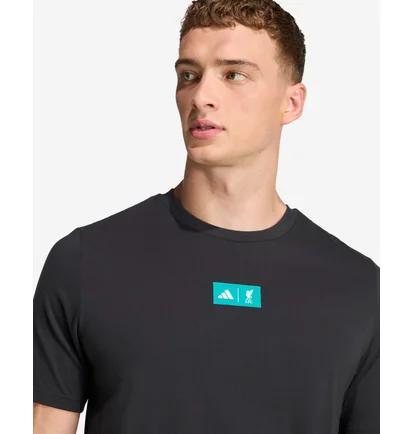 Футболка мужская Adidas Lfc Szn Gr Black JW7903
