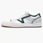 Кросівки чоловічі Vans Court Lowland Cc Jmp R Shoe White VN0007P2Y9H