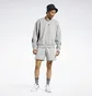 Свитшот мужской Reebok Classics Brand Proud Grey Hs6846