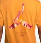 Футболка чоловіча Air Jordan Jumpman 3D Orange Dh8966-738