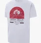 Футболка чоловіча Nike Chicago Bulls Courtside Max 90 MenS Nba T-Shirt White DR6292-100