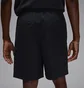 Шорты мужские Air Jordan Ess Stmt Chi Black HF9365-010