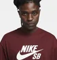 Футболка чоловіча Nike Sb Logo Skate T-Shirt Bordo CV7539-619