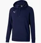 Худи мужское Puma Hooded Sweatshirt Teamgoal 23 Causals Hoody Blue 656580-06