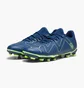 Бутсы мужские Puma Future Play Fg/Ag Blue 107377-03
