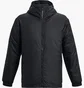 Куртка мужская Under Armour Cgi Down Lightweight Black 1378840-001