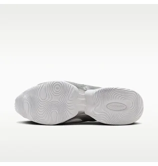 Кросівки жіночі Nike Air Max Muse Grey FV1920-100