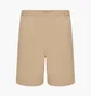 Шорти чоловічі Carhartt WIP Colston Beige I031515.G1GD