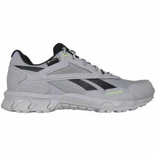 Кроссовки мужские Reebok Ridgerider 5 Gtx Grey EF4124