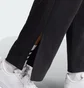 Штаны женские Adidas All Szn French Terry 3-Stripes Black JI9106