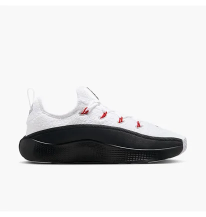 Кросівки чоловічі Nike Lebron Tr 1 Black/White FJ6151-101