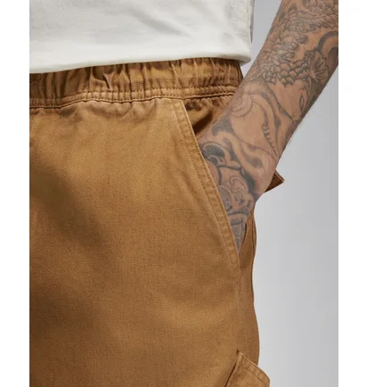 Штани чоловічі Air Jordan Essentials Washed Chicago Pants Brown FN6364-231