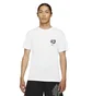 Футболка мужская Nike Dri-Fit Kd Logo White DD0775-100