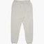 Штани чоловічі Air Jordan Wordmark Fleece Pant Grey FJ0696-050