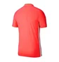Поло мужское Nike Dry Academy 19 Red Bq1496-671