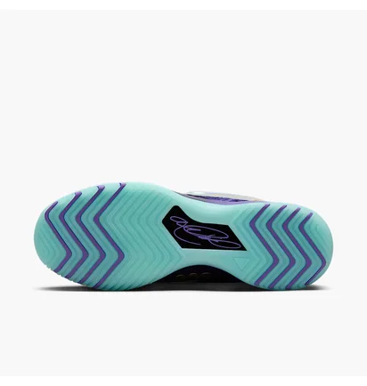 Кроссовки мужские Nike Lbj Nxxt Genisus Qs Violet IB1272-501
