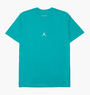 Футболка мужская Air Jordan Essentials Flight 23 Graphic Tee Tshirt Turquoise DM1428-392