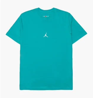 Футболка мужская Air Jordan Essentials Flight 23 Graphic Tee Tshirt Turquoise DM1428-392