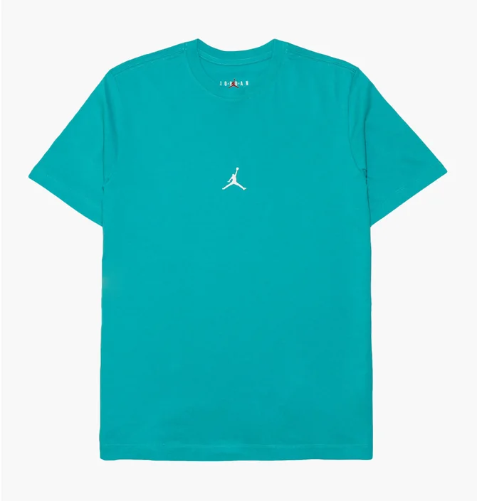 Футболка чоловіча Air Jordan Essentials Flight 23 Graphic Tee Tshirt Turquoise DM1428-392