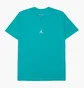 Футболка чоловіча Air Jordan Essentials Flight 23 Graphic Tee Tshirt Turquoise DM1428-392
