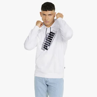 Худі чоловіче Puma Power Logo White 847378-02