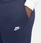 Штаны мужские Nike M Nsw Club Pant Cf Bb Blue BV2737-410