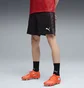 Шорти чоловічі Puma Individualfinal Black 660428-01