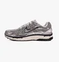 Кросівки чоловічі Nike P-6000 Metallic CN0149-001