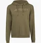 Худи мужское Adidas Terrex Logo Olive IW3802