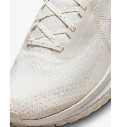 Кросівки чоловічі Nike Pegasus Trail 4 Gore-Tex Beige DJ7926-007