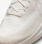 Кросівки чоловічі Nike Pegasus Trail 4 Gore-Tex Beige DJ7926-007