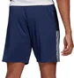 Шорты мужские Adidas Tiro21 Tr Sho Blue Gh4471