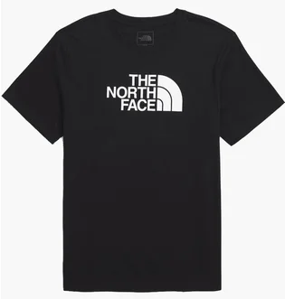 Футболка мужская The North Face Evolution Half Dome Black NF0A8B6JKY4