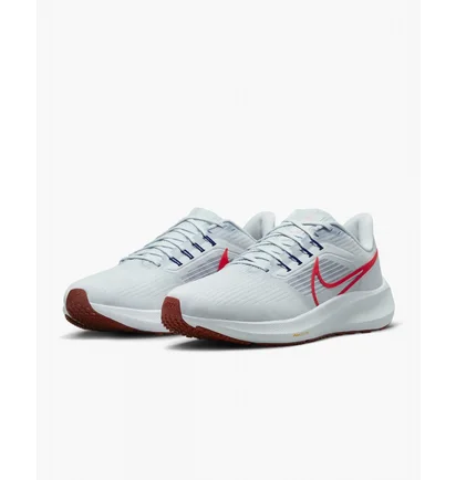 Кроссовки мужские Nike Pegasus 39 Running Shoes White Dh4071-007
