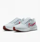 Кроссовки мужские Nike Pegasus 39 Running Shoes White Dh4071-007