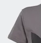 Футболка детская Adidas Trefoil Originals Grey IJ7178