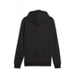 Худи мужское Puma Ess+ Logo Lab Hoodie Tr Black 678978-01