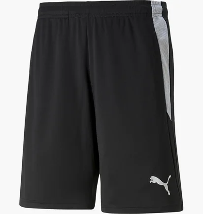 Шорты мужские Puma Teamliga Referee Shorts Black 705453-03