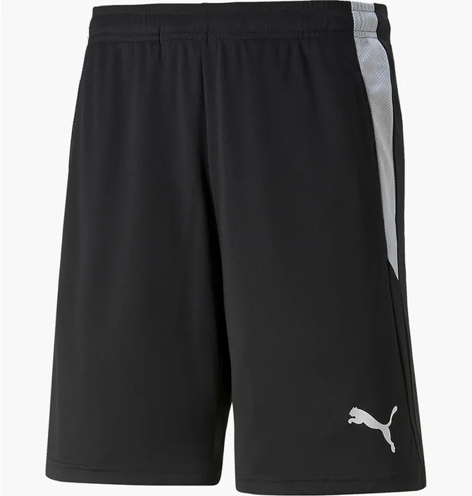 Шорты мужские Puma Teamliga Referee Shorts Black 705453-03